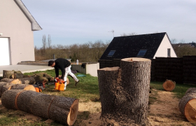 Démontage d'un sapin à (Betton) (35) avant après 