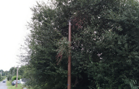 Élagage dégagement de fil électrique avant après travaux effectués à Châteaubourg