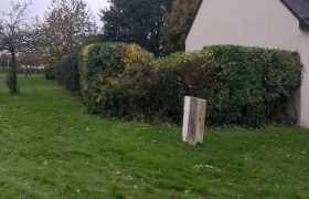 Taille de haie avant après travaux effectués la Mézière