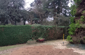 Arbre tombé avec la tempête avant après travaux réalisés Rennes