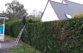 Jardinier - Vezin-le-Coquet 